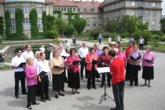 noch nicht zugeordnetes Bild 14